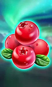 Winterberries